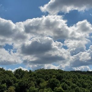 Meet your Posher, Eva